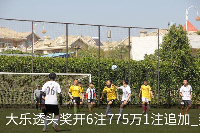 大乐透头奖开6注775万1注追加 奖池余额8.18亿