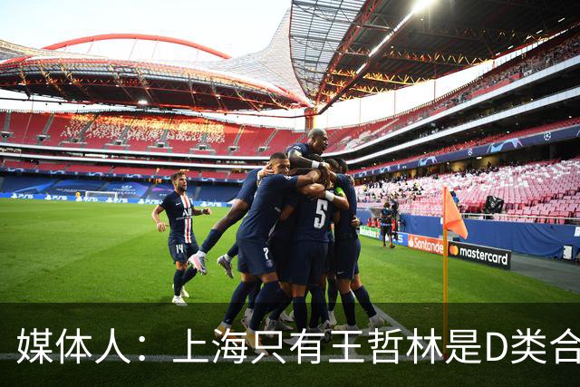 媒体人：上海只有王哲林是D类合同 剩余两个顶薪或给张镇麟李弘权