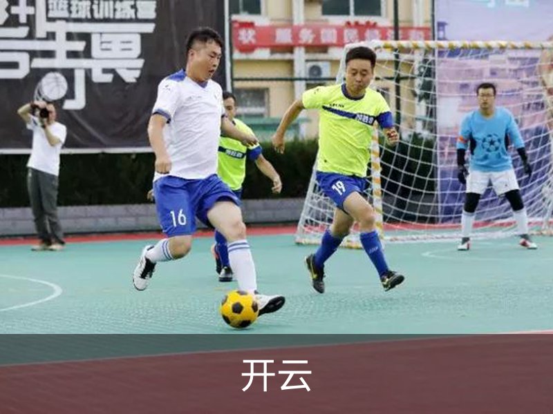 了解开云
