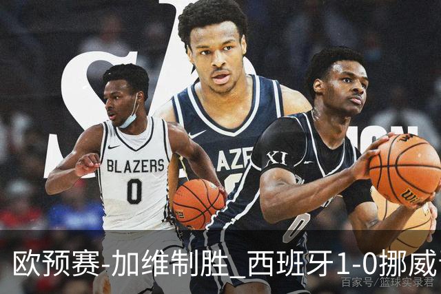 欧预赛-加维制胜 西班牙1-0挪威晋级欧洲杯正赛