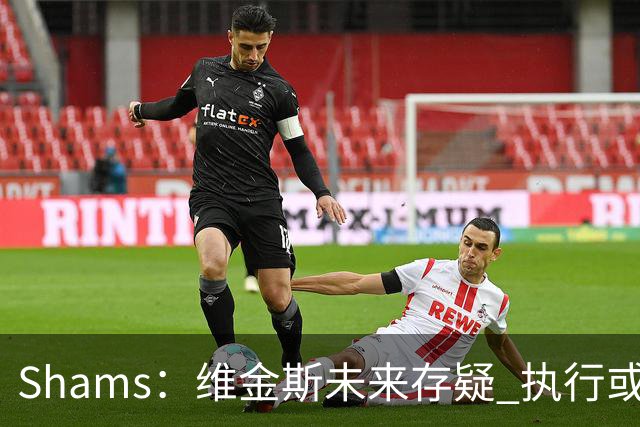Shams：维金斯未来存疑 执行或拒绝3000W选项/降薪签长约都有可能